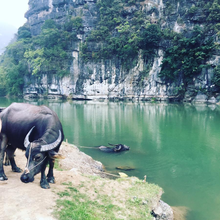Mai'S Homestay Trang An Ninh Binh Luaran gambar