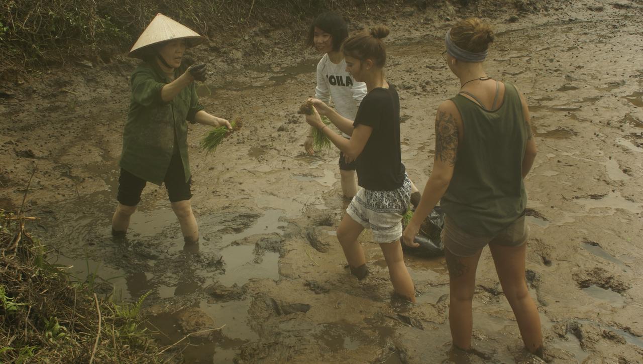 Mai'S Homestay Trang An Ninh Binh Luaran gambar