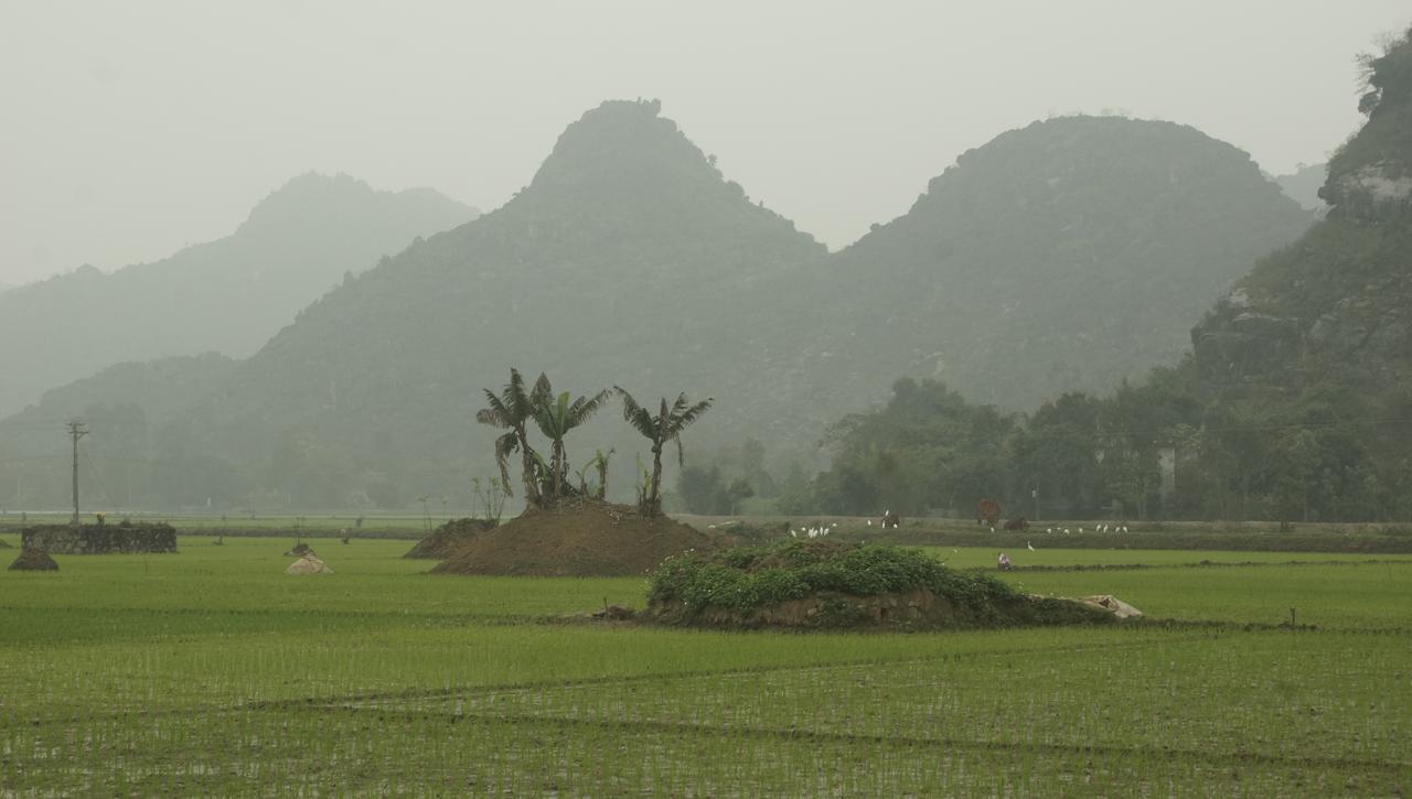 Mai'S Homestay Trang An Ninh Binh Luaran gambar