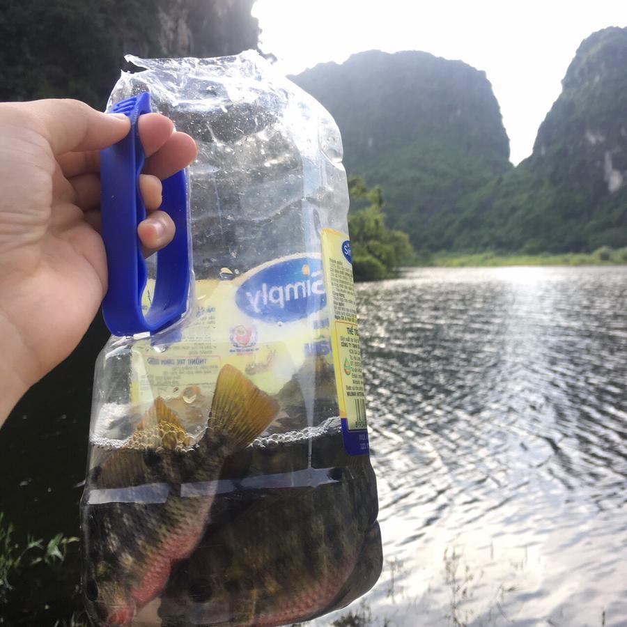 Mai'S Homestay Trang An Ninh Binh Luaran gambar