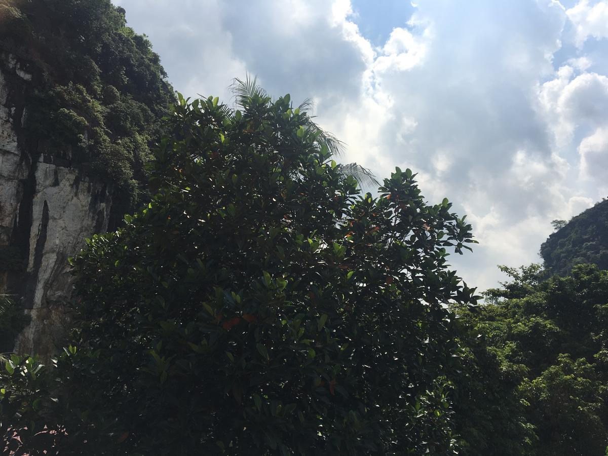 Mai'S Homestay Trang An Ninh Binh Luaran gambar