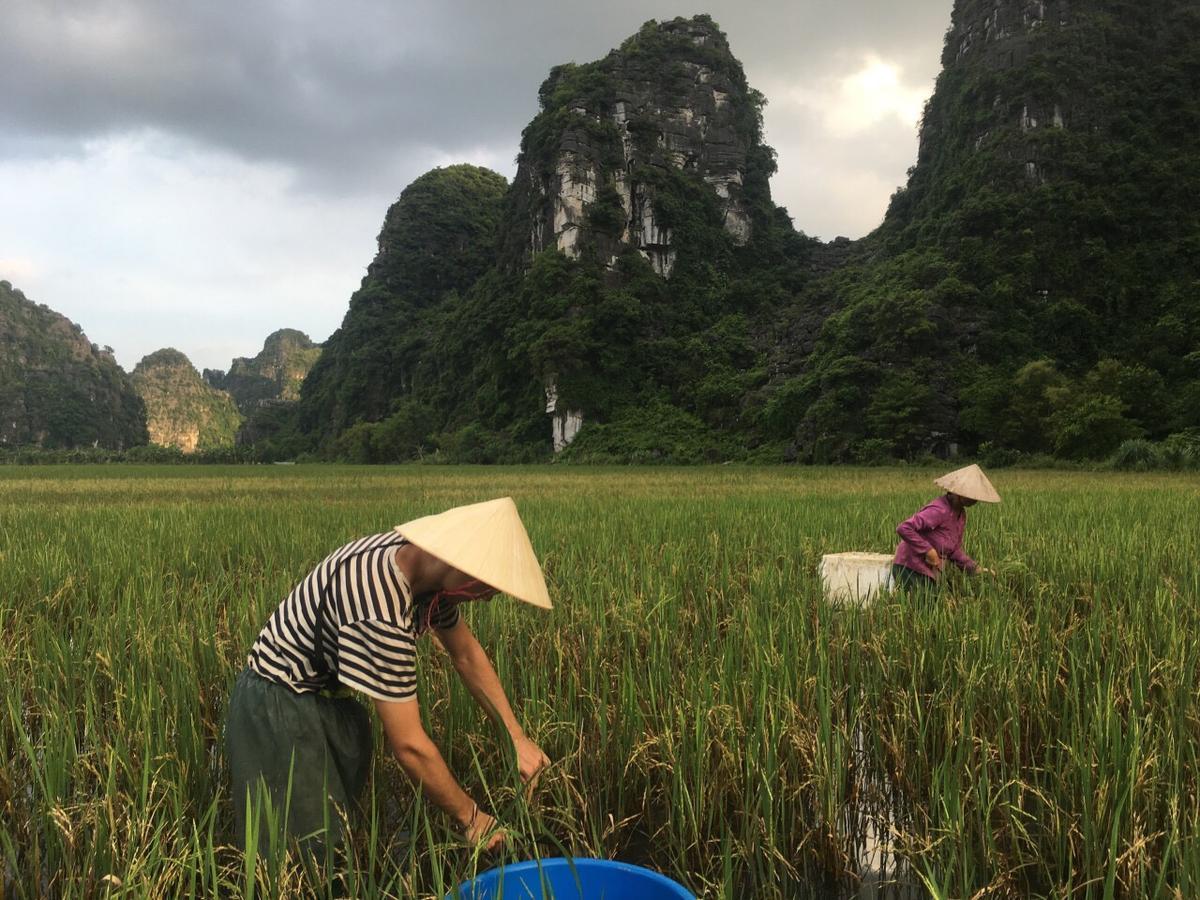 Mai'S Homestay Trang An Ninh Binh Luaran gambar