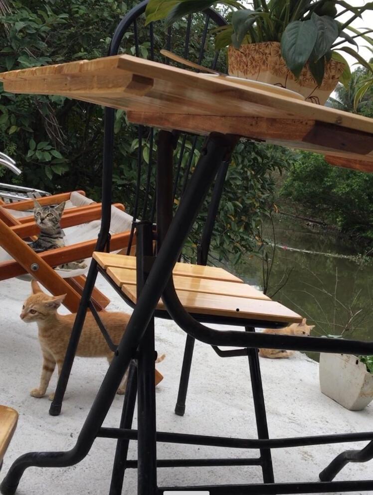 Mai'S Homestay Trang An Ninh Binh Luaran gambar