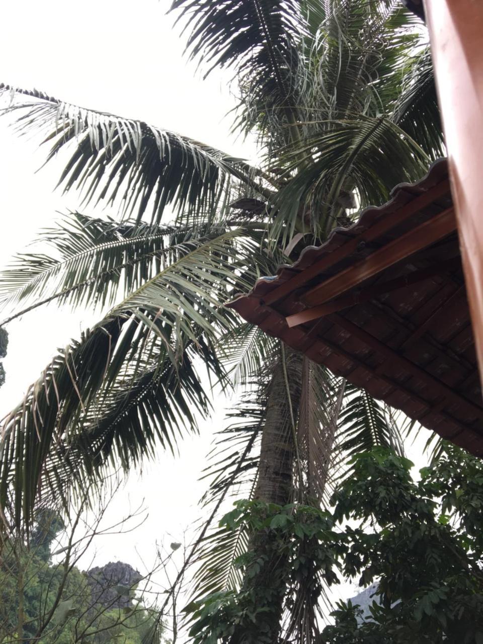 Mai'S Homestay Trang An Ninh Binh Luaran gambar